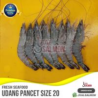 Gambar Jual Udang Pancet Sz 20 Segar/Windu Udang Seafood/Udang Tiger Fresh - 500gr dari Jual Salmon Segar undefined 5 Tokopedia