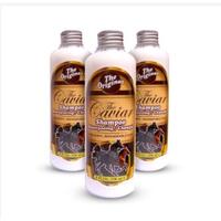 Gambar The Original Caviar Shampoo Original - Shampo Kuda untuk Rambut Tebal Kuat & Sehat - Mengurangi Ketombe & Kusam - 250ml dari LADY STYLE OFFICIAL undefined 1 Tokopedia