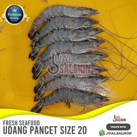 Gambar Jual Udang Pancet Sz 20 Segar/Windu Udang Seafood/Udang Tiger Fresh - 500gr dari Jual Salmon Segar undefined 1 Tokopedia