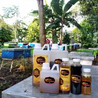 Gambar Madu asli madu murni madu lebah 250ml / 350 gram. 100% pure raw honey - Madu Multiflora dari madu almahyra asli murni undefined 2 Tokopedia