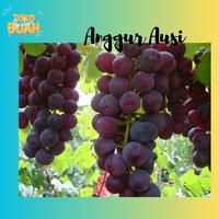 Gambar anggur australia - 1000, 1 pck dari DIVIGRAM BEST undefined 5 Tokopedia