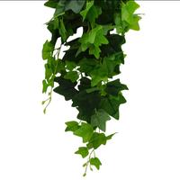 Gambar DAUN HIAS/ DAUN PALSU/ DAUN DEKORASI/ DAUN IMPORT/ MEDIUM IVY HANGING dari Evergreen Trees Shop undefined 2 Tokopedia