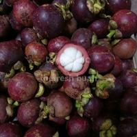 Gambar buah manggis 1 kg dari thefresh buah undefined 2 Tokopedia