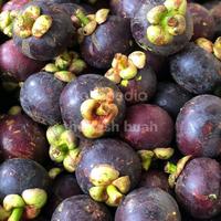 Gambar buah manggis 1 kg dari thefresh buah undefined 1 Tokopedia