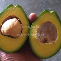 Gambar ALPOKAT MENTEGA LAMPUNG | ALPUKAT LAMPUNG | AVOCADO MENTEGA LAMPUNG - EXTRA BUBBLE dari celced market undefined 3 Tokopedia