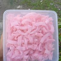 Gambar Manisan Kelapa Muda 500 gram dari Manisan Bunda Kembar 2 undefined 1 Tokopedia