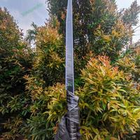 Gambar Dark Saber Inspired Lightsaber Mandalorian - Putih dari AV SABER undefined 4 Tokopedia