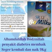 Gambar susu kambing murni segar/go milku SR12/obat TBC/obat asma/susu no gula - Coklat dari sr12 best seller undefined 2 Tokopedia