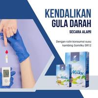 Gambar susu kambing murni segar/go milku SR12/obat TBC/obat asma/susu no gula - Coklat dari sr12 best seller undefined 4 Tokopedia