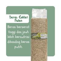 Gambar Beras Coklat Premium Lumbung Tampomas 1Kg (Diet & Diabetes) dari Hasilbumi&Co undefined 3 Tokopedia