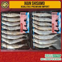 Gambar Shisamo Ikan Capelin/Ikan Cipung IMPORT 1pack isi 8pcs/Ikan Shisamo dari Nelayan Muda jakarta undefined 2 Tokopedia