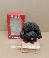 Gambar Pajangan Dashboard Mobil Lucky Dog - Poddle Putih dari Senangkoleksi undefined 5 Tokopedia