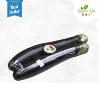 Gambar Terong Ungu Organik Isi 2-3 Pcs / Pack Fresh Eggplant Sayur Segar dari Sayur Ijo Jakarta undefined 1 Tokopedia