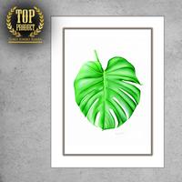 Gambar Poster 30x40 cm Daun Monstera Pajangan Hiasan Dinding Kamar Ruang Tamu - Monstera 04 dari Jumbo Rimba undefined 2 Tokopedia