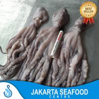 Gambar Gurita JUMBO Segar/Gurita Octopus Besar 1kg/Gurita Seafood Fresh dari Jakarta Seafood Centre undefined 5 Tokopedia