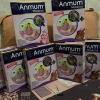 Gambar Anmum Materna Cokelat - 400 Gr dari Robertson shoop undefined 1 Tokopedia