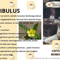 Gambar 100% Asli Moment Coffee Terapi Program Hamil dari Rumah Madu An Nafii&#39; undefined 3 Tokopedia