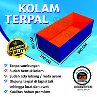 Gambar KOLAM TERPAL KOTAK A20 1X3X1 / 3X1X1 BUDIDAYA IKAN - KOLAM+KENI L, A12 dari Mandiri Terpal Store undefined 1 Tokopedia