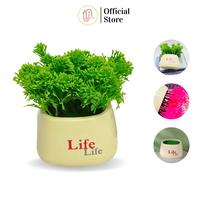 Gambar Tanaman Hias Bunga Bonsai Plastik Artificial Dekorasi Ruangan Ornamen - Ungu dari UNICO.indonesia undefined 1 Tokopedia