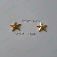 Gambar pin bintang 2 cm polos dari garuda sakti production undefined 3 Tokopedia