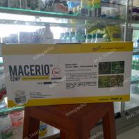Gambar HERBISIDA selektif jagung MACERIO 52WP 80gr dari Rus Tani undefined 5 Tokopedia