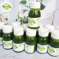 Gambar Wheatgrass juice 60 ml | Rumput gandum siap konsumsi dari GreenBoosterco undefined 1 Tokopedia