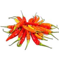 Gambar cabe rawit merah domba 100 gram cengek domba merah - 1, 100 gram dari D&Rshope undefined 1 Tokopedia