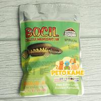 Gambar Pelet Bocil Meresahkan Color | Red Blue Black Yellow | Pakan Channa dari Peto kame undefined 2 Tokopedia