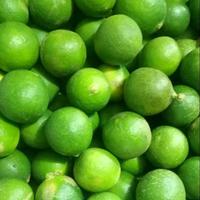 Gambar Jeruk Nipis Fresh 1kg dari TOKO LANCAR BAROKAH PASAR AGUN undefined 1 Tokopedia