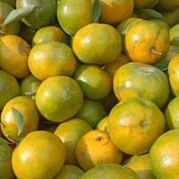 Gambar jeruk siam madu dari SPR buah segar cikutra undefined 3 Tokopedia