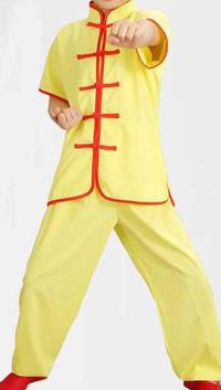Gambar Promo 5color summer Children short sleeves martial arts wushu suits k dari Hobby&#39;s Garage undefined 4 Tokopedia