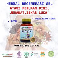 Gambar Herbal PROSELA Naturindo (Spesial Regenerasi & Peremajaan Sel) dari Kanpoyaku Naturindo undefined 1 Tokopedia