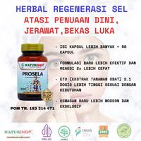 Gambar Herbal PROSELA Naturindo (Spesial Regenerasi & Peremajaan Sel) dari Kanpoyaku Naturindo undefined 5 Tokopedia