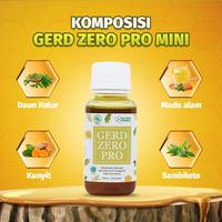 Gambar Gerd Zero Pro Obat Herbal Membantu Masalah Asam Lambung Original 106gram dari Nissa Herba undefined 4 Tokopedia