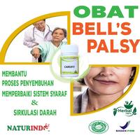 Gambar Obat Bell's Palsy Stroke Wajah Sebelah Stroke Berat Ringan Herbal - gagap dari lezat' undefined 2 Tokopedia