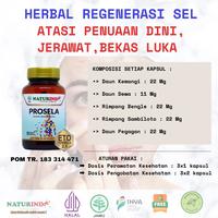 Gambar Herbal PROSELA Naturindo (Spesial Regenerasi & Peremajaan Sel) dari Kanpoyaku Naturindo undefined 3 Tokopedia