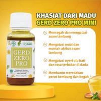 Gambar Gerd Zero Pro Obat Herbal Membantu Masalah Asam Lambung Original 106gram dari Nissa Herba undefined 3 Tokopedia