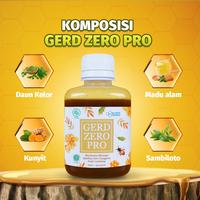 Gambar GERD ZERO PRO OBAT MEMABNTU MASALAH LAMBUNG MAAG ATAU GASTRITIS dari Nissa Herba undefined 5 Tokopedia