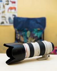 Gambar Lensa tele canon 70 200mm f 2.8 dari playkamera undefined 2 Tokopedia