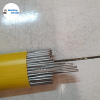 Gambar kawat las tgs 308 2.4 mm dari WeldingGarage undefined 3 Tokopedia