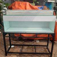 Gambar Aquarium 120x40x40 scotlet Putih+ Rak Hollo+Top Filter+Tutup Kaca dari Cancer Aqurium undefined 1 Tokopedia