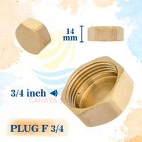 Gambar Plug Tutup Drat Pipa Male Brass hex Kuningan 1' 1/2' 1/4' 1/8' 3/4' - FEMALE 1/2 INCH dari CAHAYA BARU SENTRAL undefined 3 Tokopedia