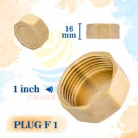Gambar Plug Tutup Drat Pipa Male Brass hex Kuningan 1' 1/2' 1/4' 1/8' 3/4' - FEMALE 1/2 INCH dari CAHAYA BARU SENTRAL undefined 2 Tokopedia