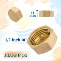 Gambar Plug Tutup Drat Pipa Male Brass hex Kuningan 1' 1/2' 1/4' 1/8' 3/4' - FEMALE 1/2 INCH dari CAHAYA BARU SENTRAL undefined 4 Tokopedia