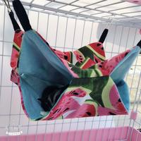 Gambar HAMOK KANTONG TEMPAT TIDUR HAMSTER SUGAR GLIDER SLEEPIN POUCH dari WILSON AVIARY PET SHOP undefined 5 Tokopedia