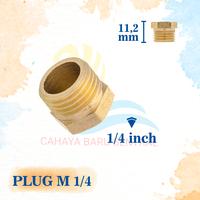 Gambar Plug Tutup Drat Dalam 1/2" Kuningan End Plug Dop Pipa Penutup Kran - PLUG TUTUP 1'' dari CAHAYA BARU SENTRAL undefined 3 Tokopedia