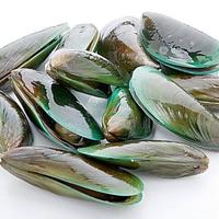 Gambar Kerang Hijau Hidup Fresh 1KG dari KJ_Seafood88 undefined 2 Tokopedia