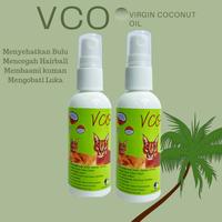 Gambar VCO minyak kelapa murni basmi scabies jamur pada kucing anjing dan mem dari Anabul_Care undefined 5 Tokopedia