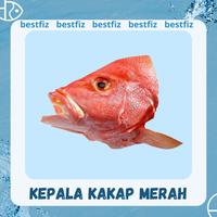 Gambar Kepala Kakap Merah dari bestfiz makassar undefined 1 Tokopedia