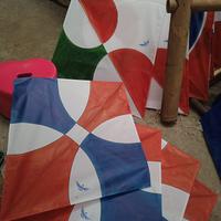 Gambar Layangan Bandangan Berat Lincah size 65/70 cm - Pulas dari Kites Store Idn undefined 2 Tokopedia